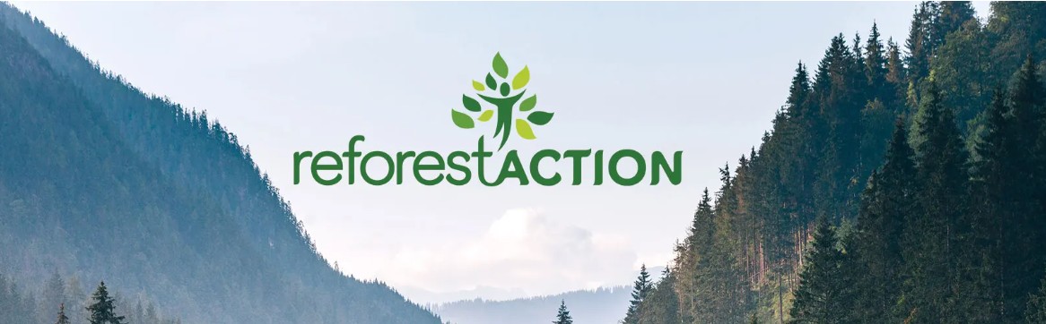 Consort Group bilan 2025 Reforest&rsquo;Action